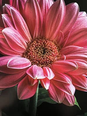 Just In Case Faith: Seeking Grace